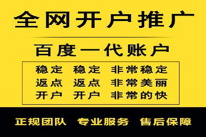 百度竞价代理全攻略：成功案例分享
